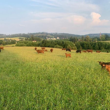 Apartmán Farma u Prokopů Humpolec Exteriér fotografie